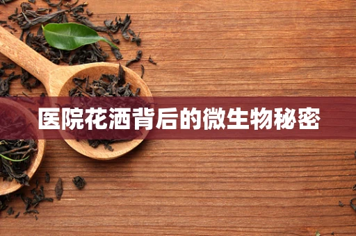 医院花洒背后的微生物秘密