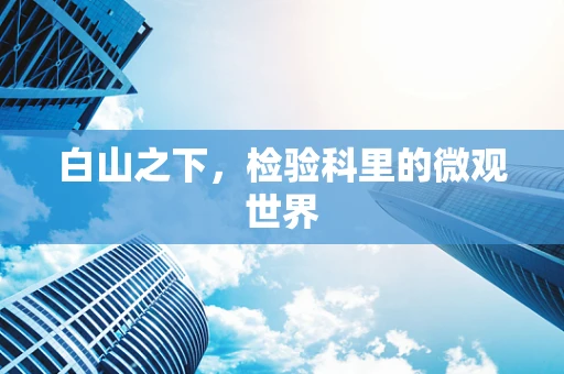 白山之下，检验科里的微观世界