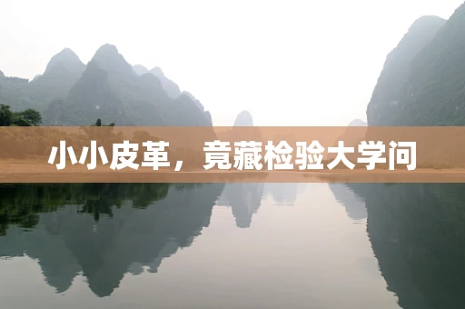 小小皮革，竟藏检验大学问