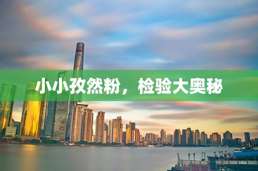 小小孜然粉，检验大奥秘