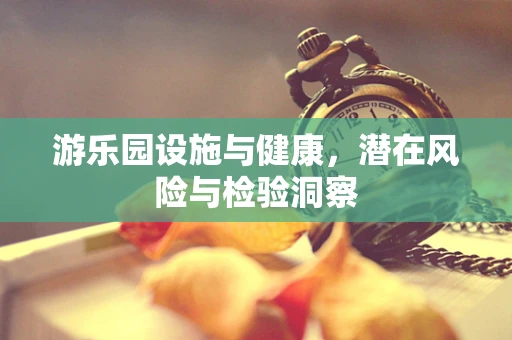 游乐园设施与健康，潜在风险与检验洞察