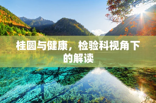桂圆与健康，检验科视角下的解读