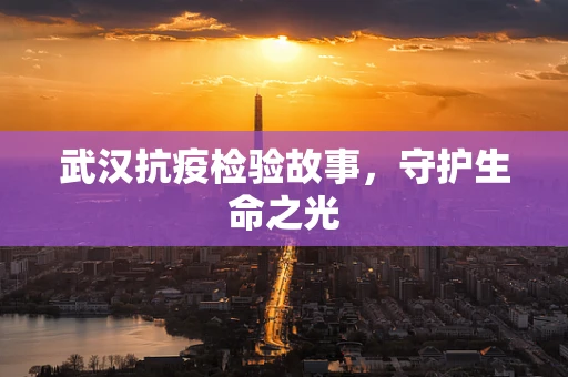 武汉抗疫检验故事，守护生命之光