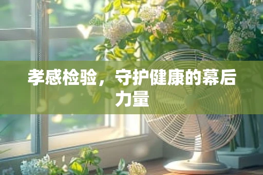 孝感检验，守护健康的幕后力量