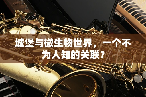 城堡与微生物世界，一个不为人知的关联？