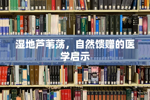 湿地芦苇荡，自然馈赠的医学启示