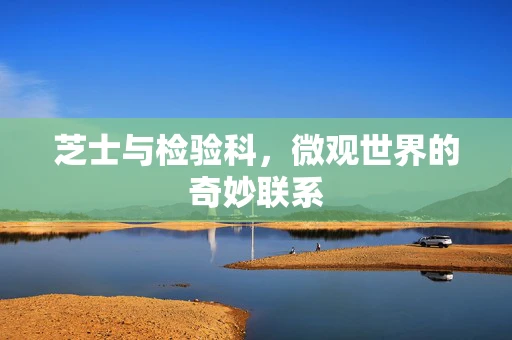 芝士与检验科，微观世界的奇妙联系