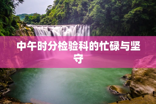 中午时分检验科的忙碌与坚守